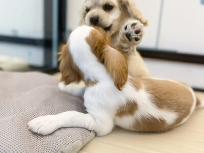 今日も元気に営業中